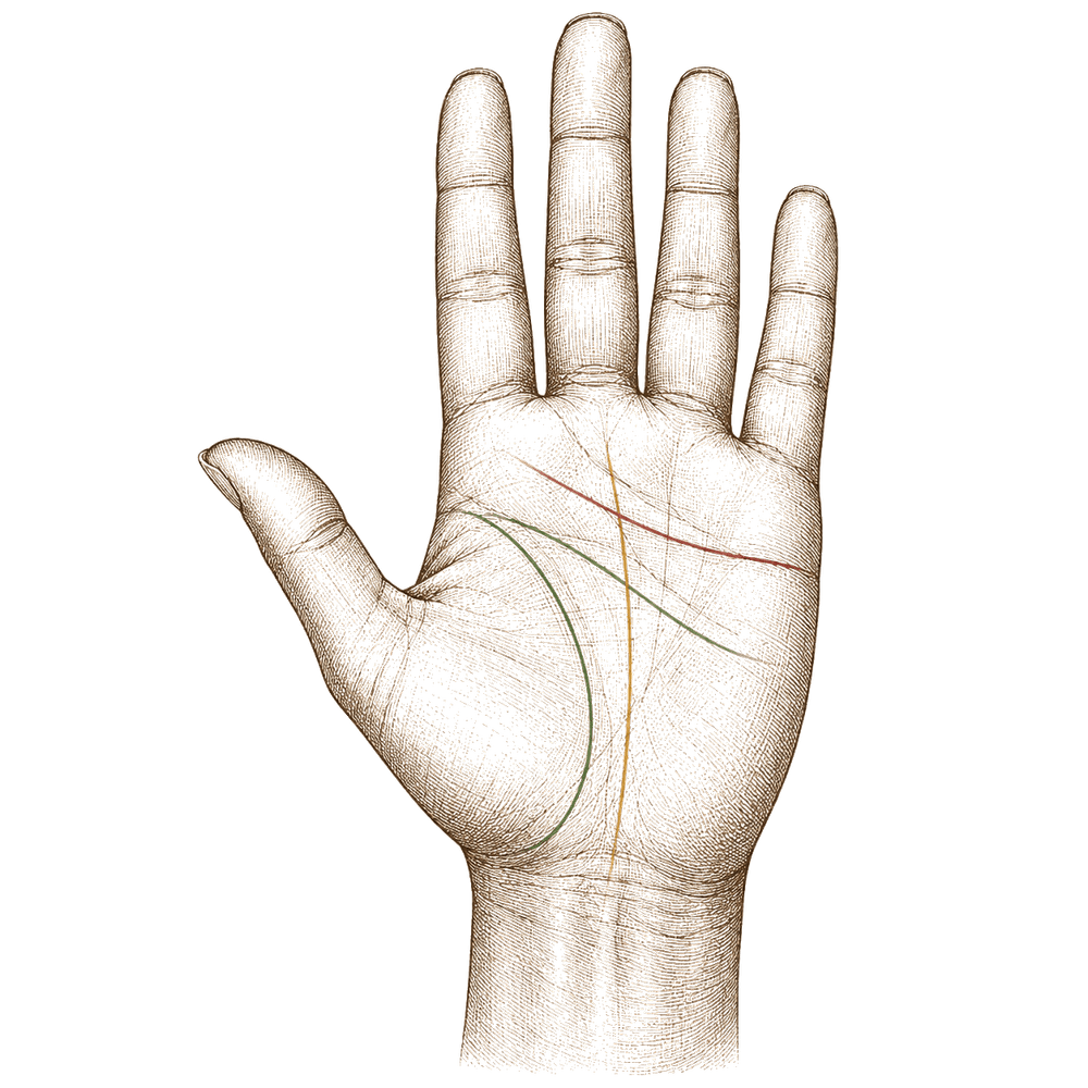 Engraving-style palm with major palmistry lines